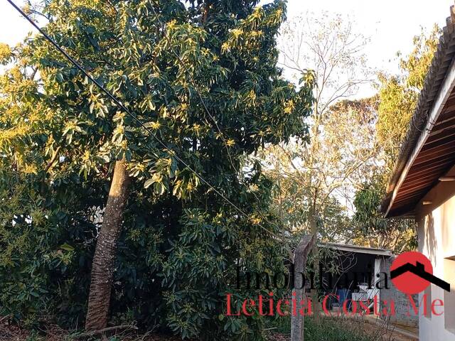 #1006 - Chácara para Venda em Pinhalzinho - SP - 1