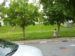 #270 - Sobrado para Venda em São Bernardo do Campo - SP - 3