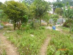 Terreno para Venda em São Bernardo do Campo - 4
