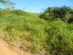 #388 - Área para Venda em São Bernardo do Campo - SP - 2