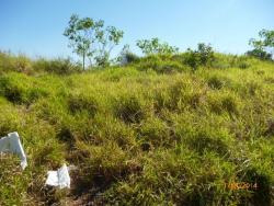 #388 - Área para Venda em São Bernardo do Campo - SP - 1